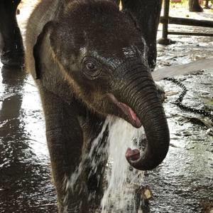 Meet your Posher, Robyn